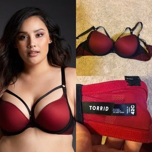 Torrid Strappy Bra